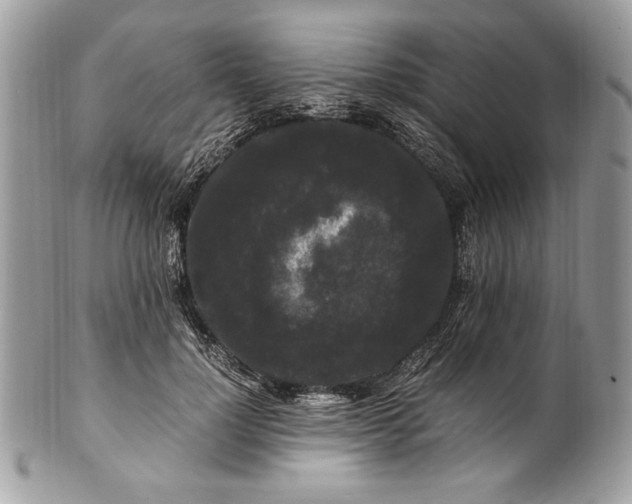 X0000100880748200807071126