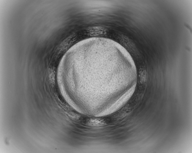 X0000100880753200807071126