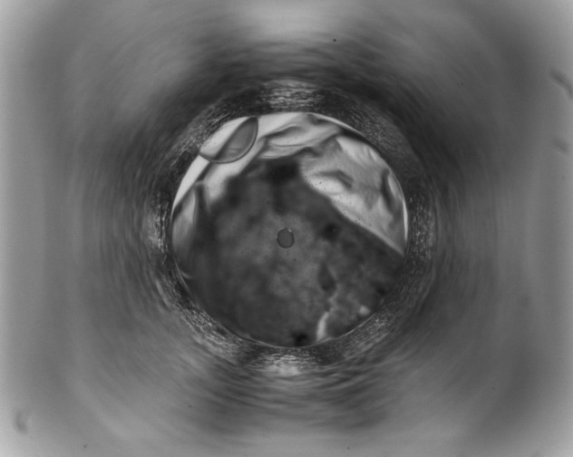 X0000100880755200807071126