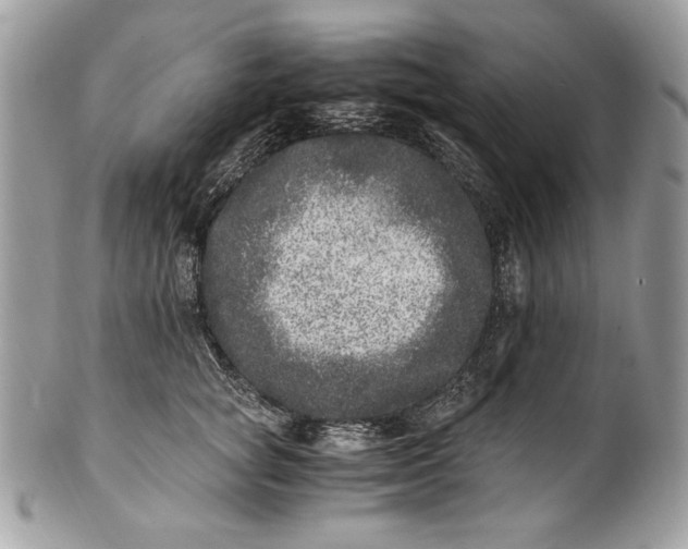 X0000100880757200807071126