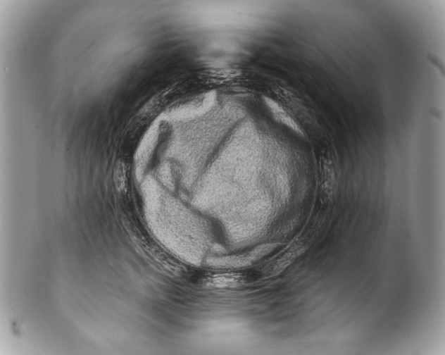 X0000100880758200807071126