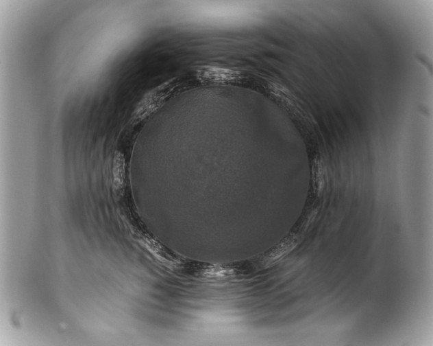 X0000100880760200807071126