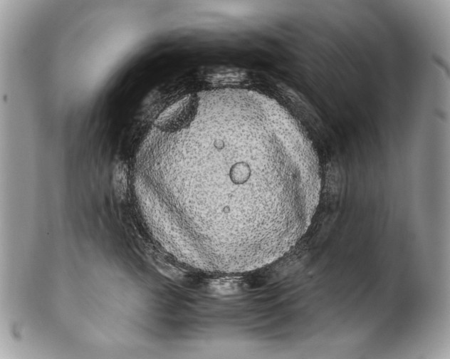 X0000100880761200807071126