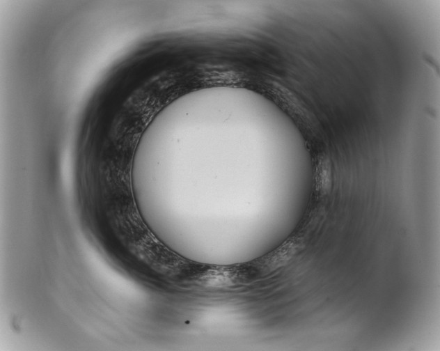 X0000100880764200807071126