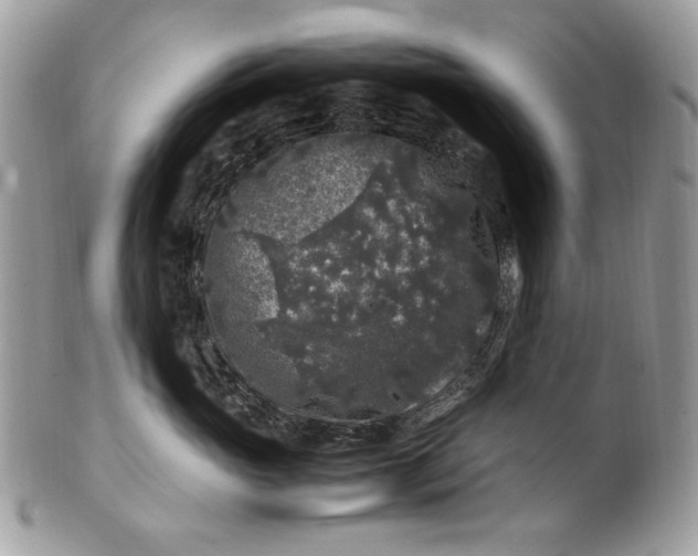 X0000100880765200807071126