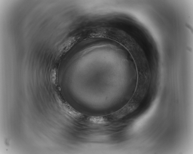 X0000100880767200807071126