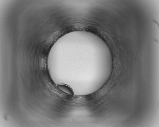 X0000100880768200807071126