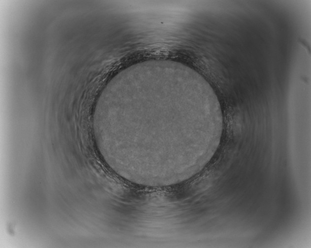 X0000100880769200807071125