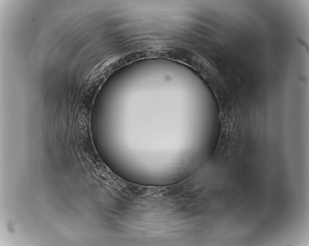 X0000100880773200807071125