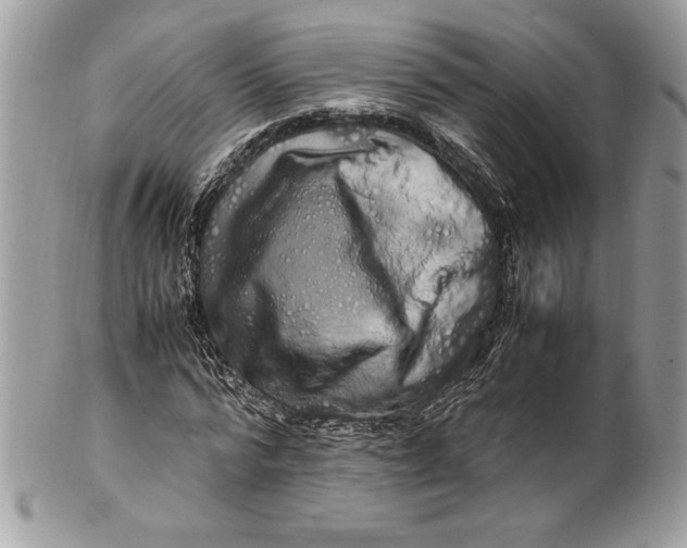 X0000100880776200807071125