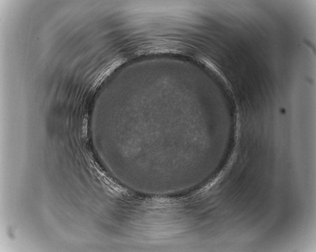 X0000100880777200807071125