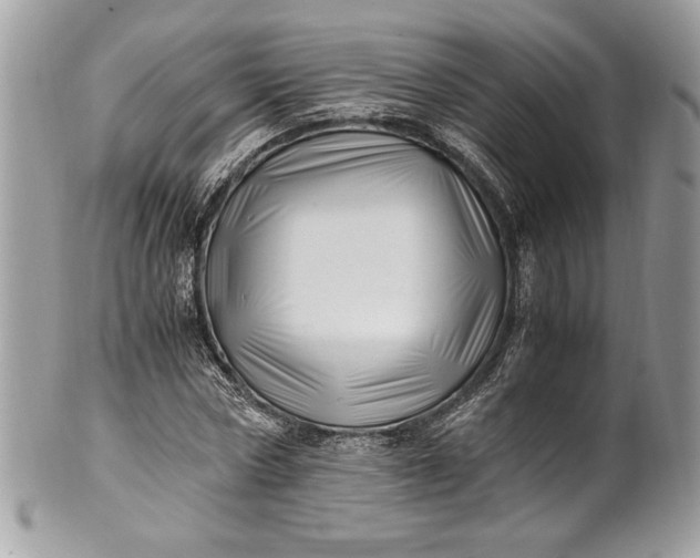 X0000100880778200807071125