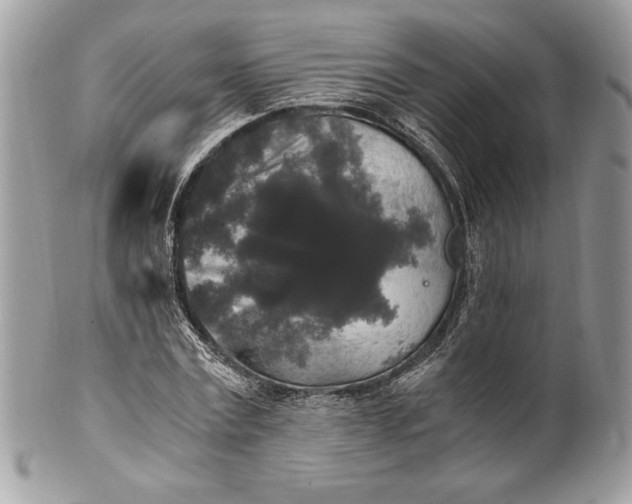 X0000100880779200807071125