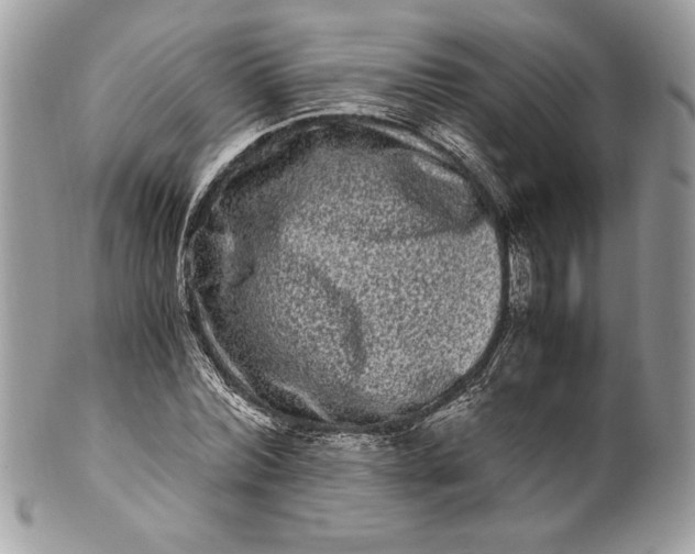 X0000100880780200807071125