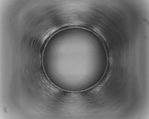 X0000100880781200807071125