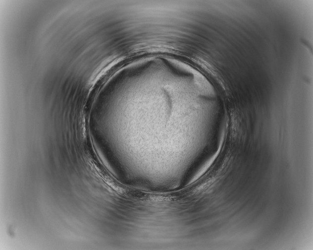 X0000100880782200807071125