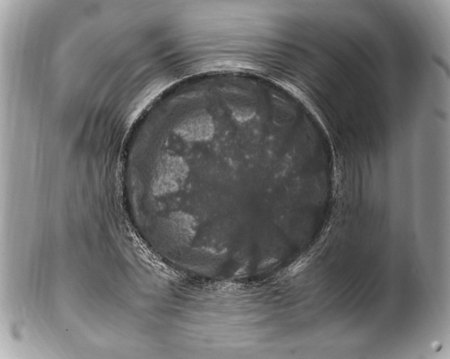 X0000100880783200807071125