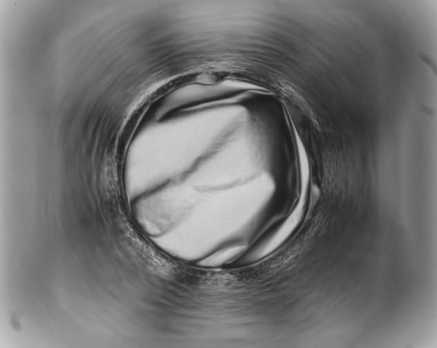 X0000100880784200807071125