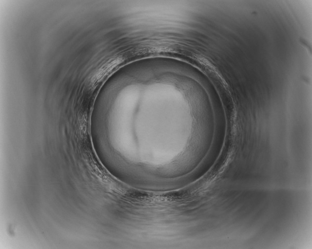 X0000100880785200807071125