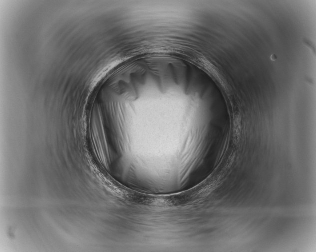 X0000100880787200807071125