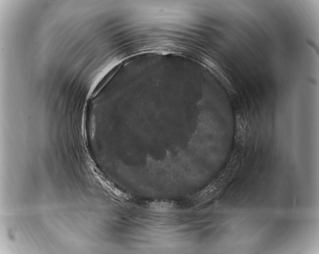 X0000100880788200807071125