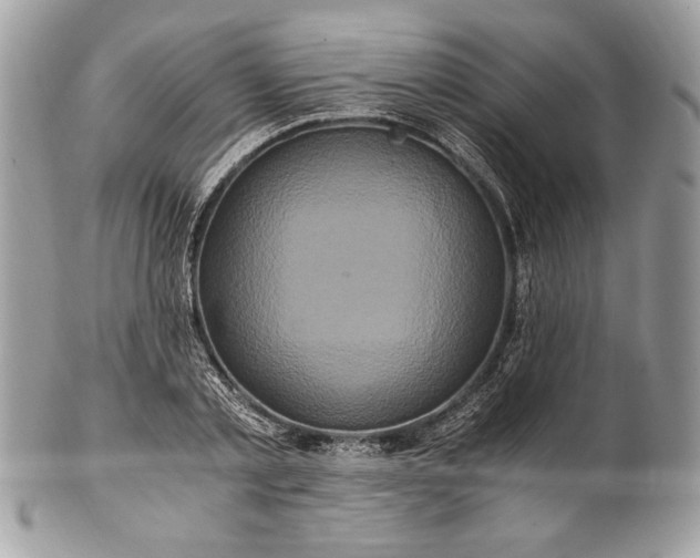 X0000100880789200807071125