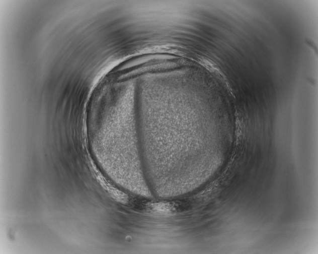 X0000100880792200807071125