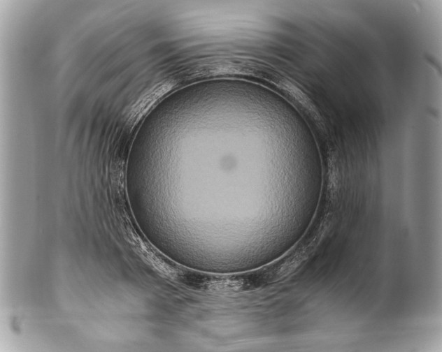 X0000100880793200807071125