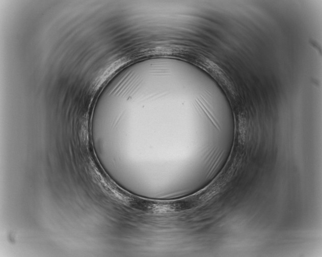 X0000100880794200807071125