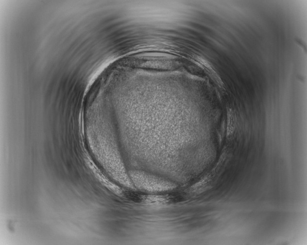 X0000100880796200807071125