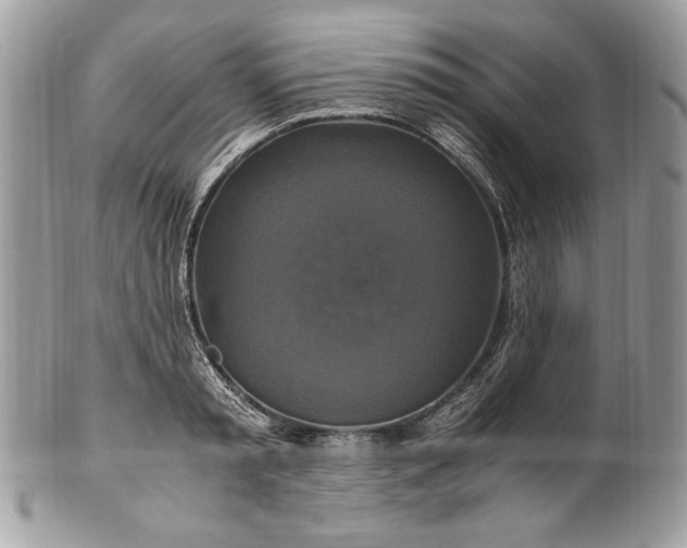 X0000100880797200807071125