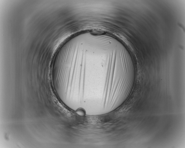 X0000100880799200807071125