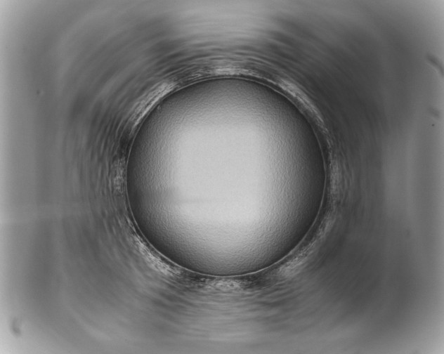 X0000100880801200807071125