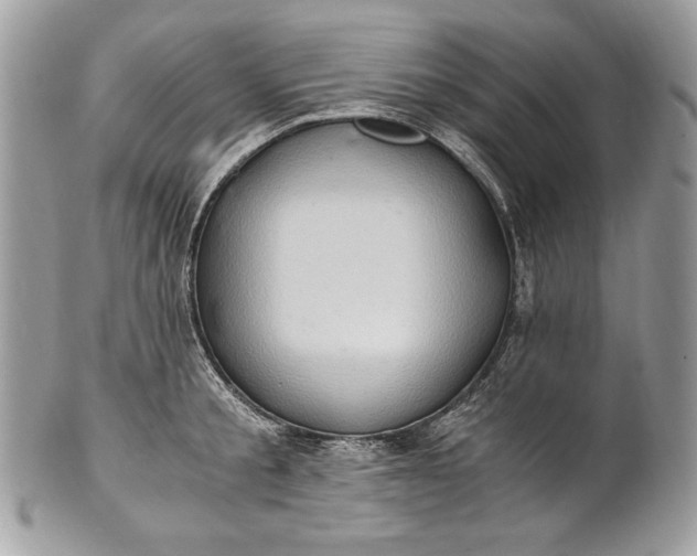 X0000100880805200807071125