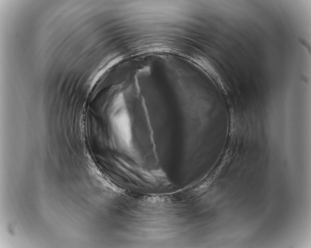 X0000100880806200807071125