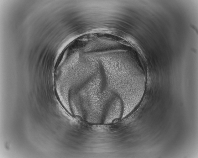 X0000100880808200807071125