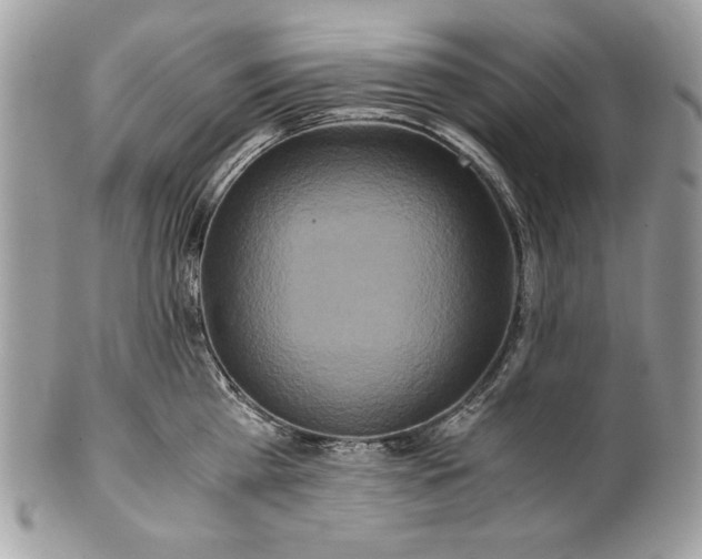 X0000100880809200807071125