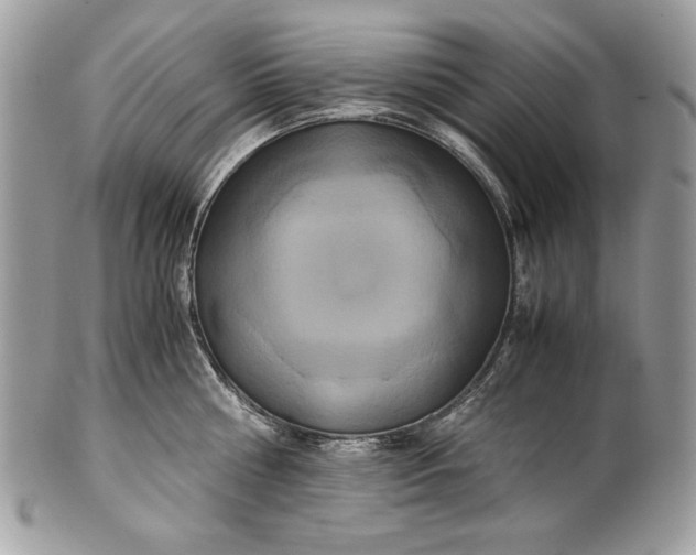 X0000100880810200807071125