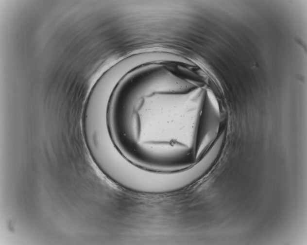 X0000100880813200807071125