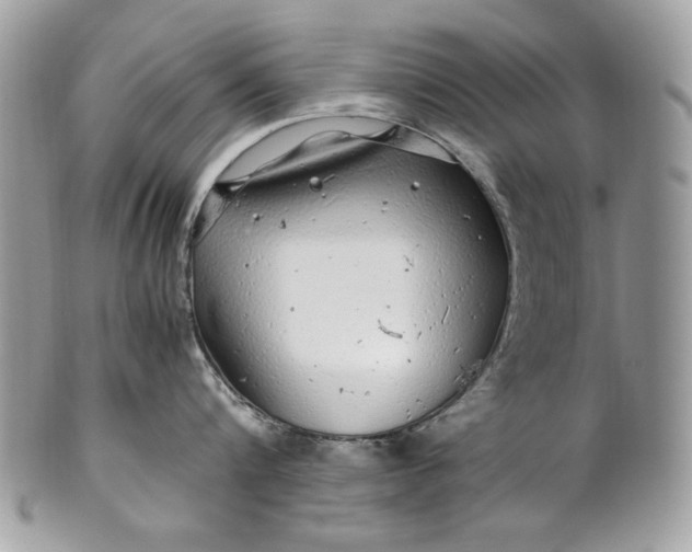 X0000100880816200807071125