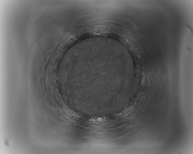 X0000100880817200807071124