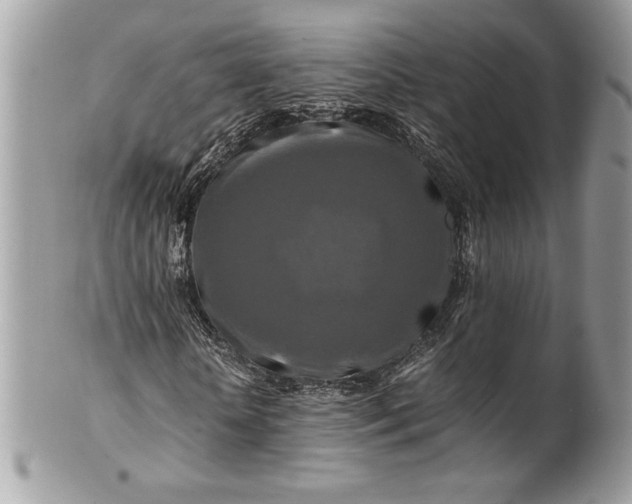 X0000100880818200807071124