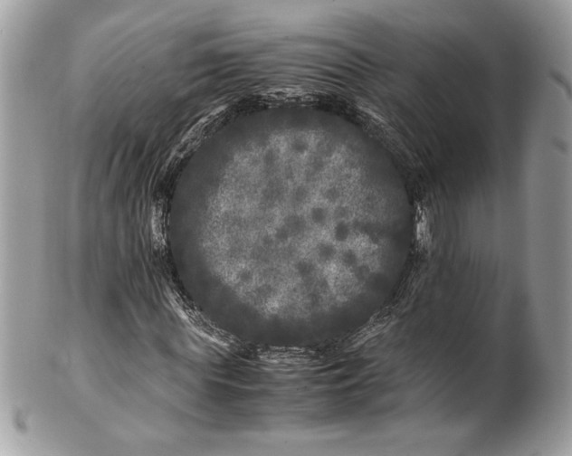 X0000100880819200807071124