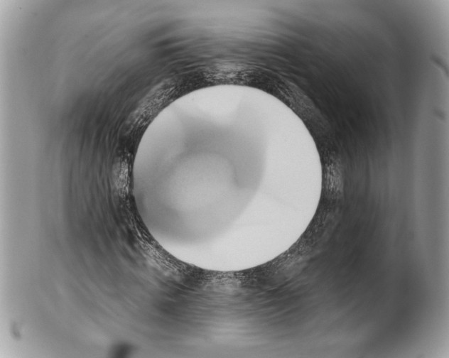 X0000100880820200807071124