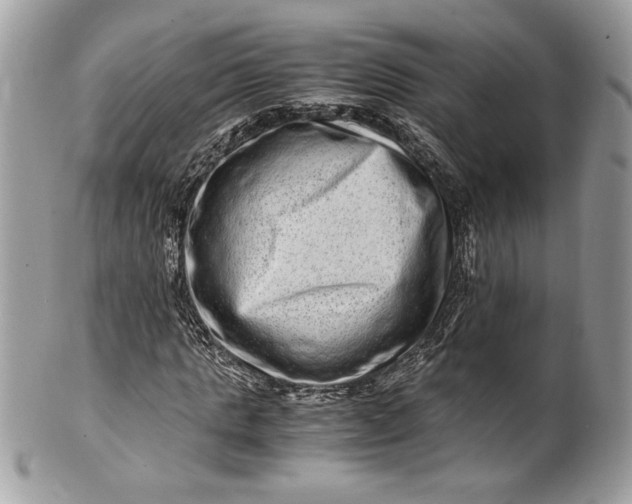 X0000100880821200807071124