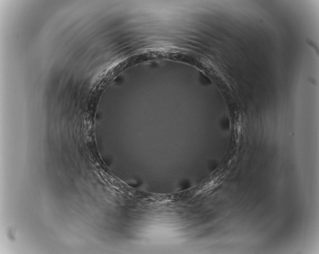 X0000100880822200807071124