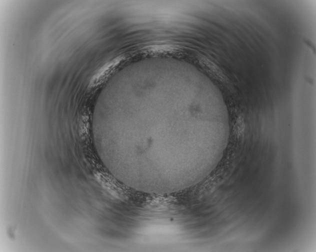 X0000100880824200807071124