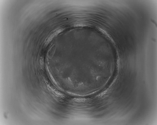 X0000100880825200807071124