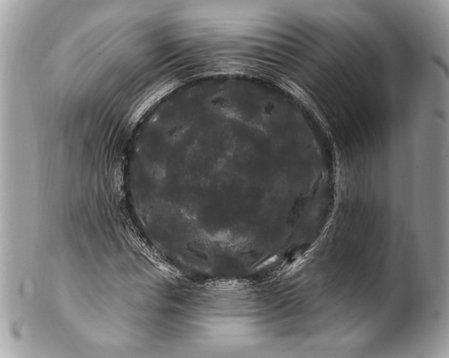 X0000100880826200807071124