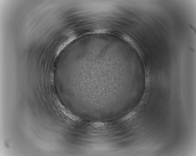 X0000100880827200807071124